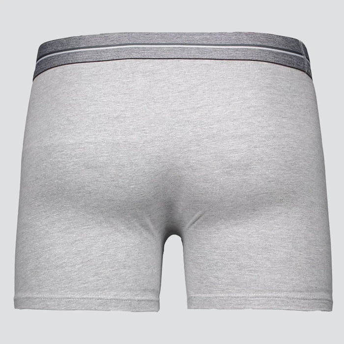 [ULTIMO DIA DE PROMOÇÃO] Kit 20 Cuecas Lupo 100%